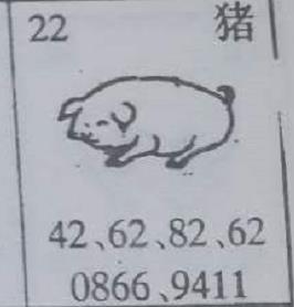 猪 梦兆图3