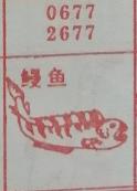 鳗鱼 梦兆图