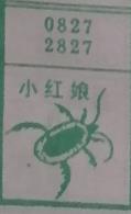 小红娘 梦兆图