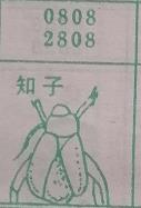 知子 梦兆图