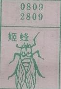 姬蜂 梦兆图