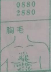 胸毛 梦兆图