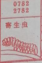 寄生虫 梦兆图