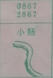 小肠 梦兆图