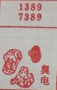 臭电 梦兆图