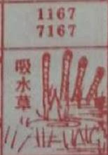 吸水草 梦兆图