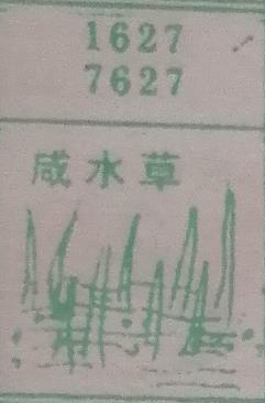 咸水草 梦兆图