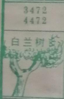 白兰树 梦兆图