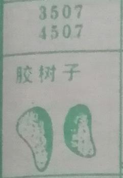胶树子 梦兆图