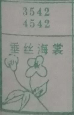 垂丝海棠 梦兆图