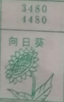 向日葵 梦兆图