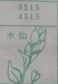 水仙 梦兆图