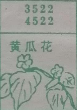 黄瓜花 梦兆图