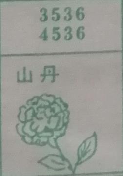 山丹 梦兆图