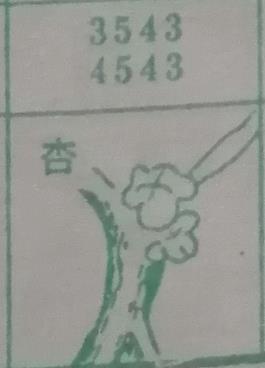 杏 梦兆图