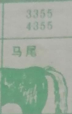 马尾 梦兆图