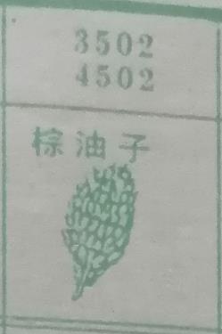 棕油子 梦兆图