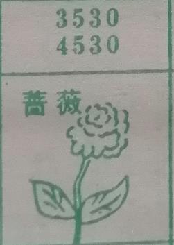 蔷薇 梦兆图
