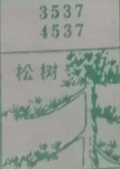松树 梦兆图