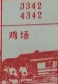 鸡场 梦兆图