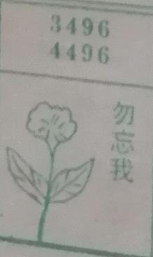 勿忘我 梦兆图