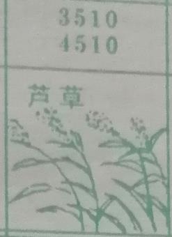 芦草 梦兆图