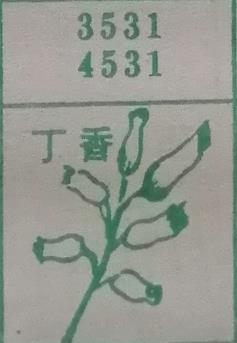 丁香 梦兆图