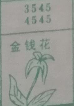 金钱花 梦兆图