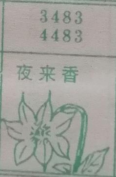 夜来香 梦兆图
