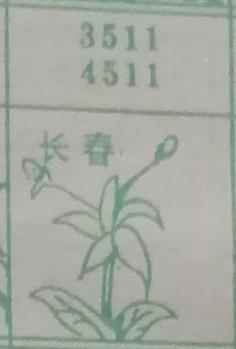 长春 梦兆图