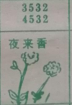 夜来香 梦兆图2
