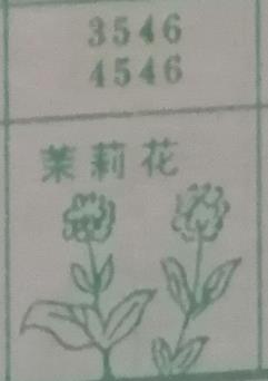 茉莉花 梦兆图