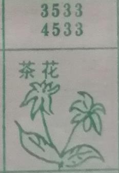 茶花 梦兆图2