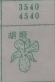 胡姬 梦兆图