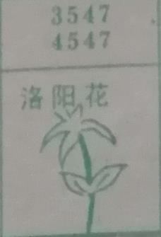 洛阳花 梦兆图
