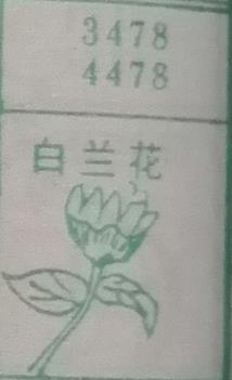 白兰花 梦兆图