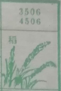 稻 梦兆图