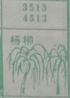 杨柳 梦兆图