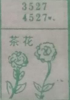 茶花 梦兆图