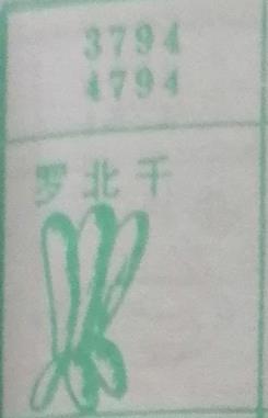 罗北千 梦兆图