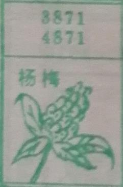 杨梅 梦兆图