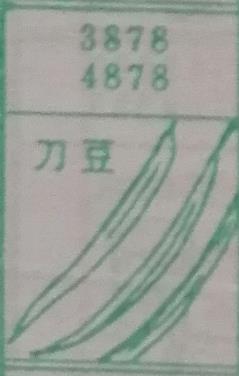 刀豆 梦兆图