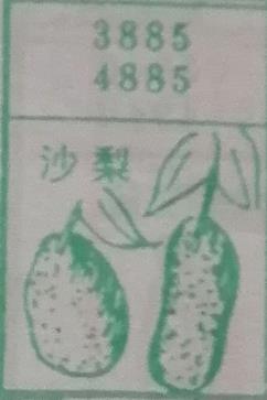 沙梨 梦兆图