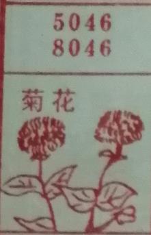 菊花 梦兆图2