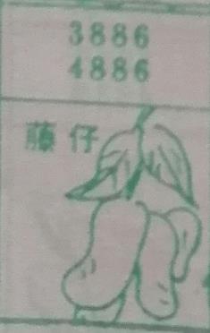 藤仔 梦兆图