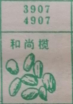 和尚榄 梦兆图