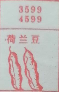 荷兰豆 梦兆图2