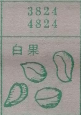 白果 梦兆图