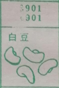 白豆 梦兆图
