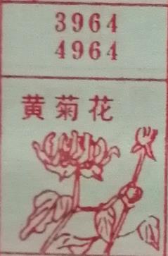 黄菊花 梦兆图